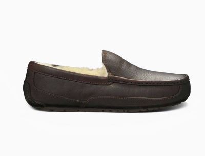 UGG Ascot Leather Slippers for Mens - Chocolate India